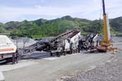 cip plant mining in brazil